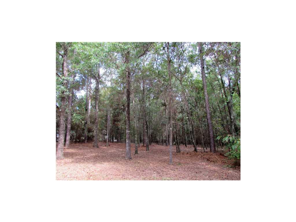 127 Willow Lake Drive - Photo 1