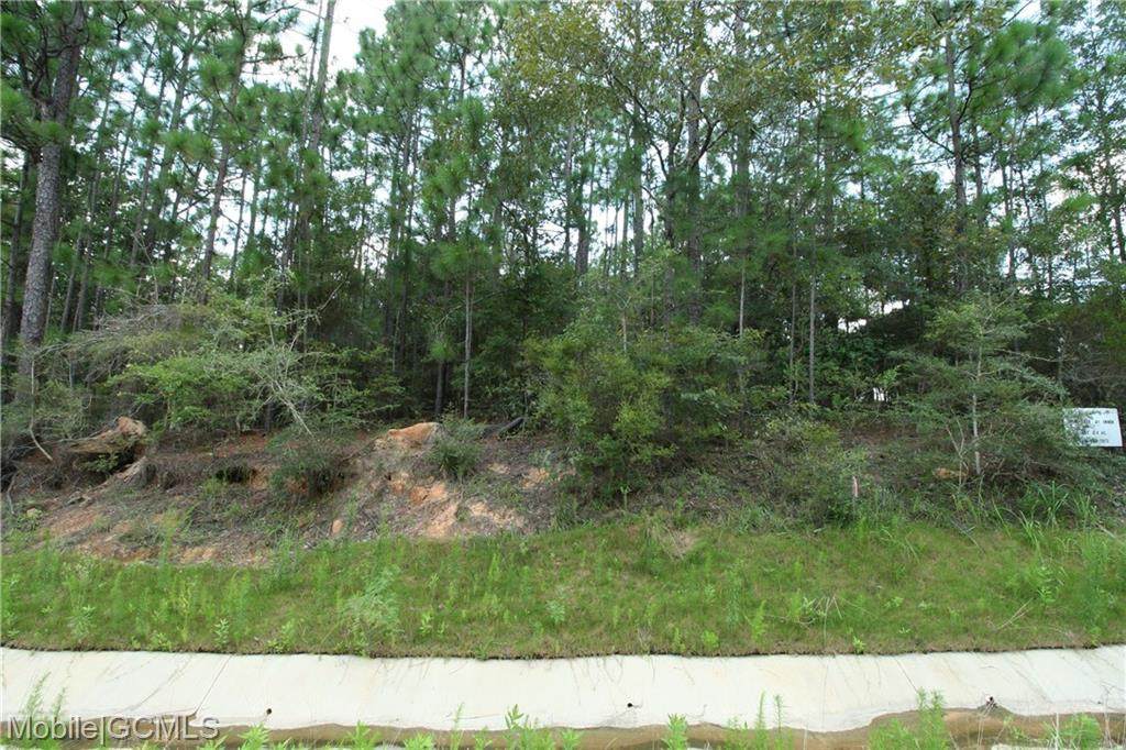 0 Timber Ridge Road - Photo 1
