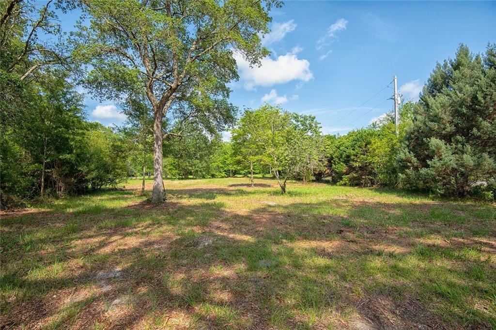 12821 Woodhaven Dairy Road - Photo 1