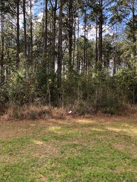 17324 Brannon Fork Road - Photo 1