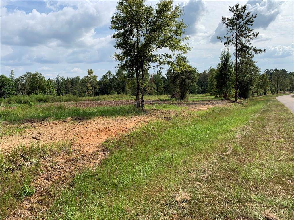 0 Lott Cemetery Road - Photo 1