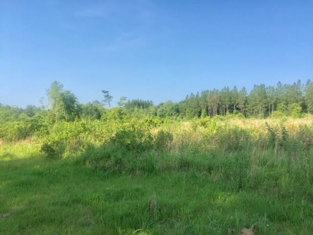 4 Turnerville Farms Court - Photo 1
