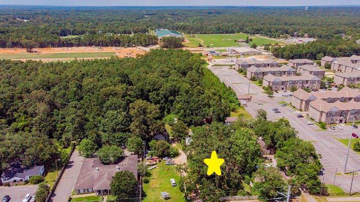 6558 Old Shell Road - Photo 1