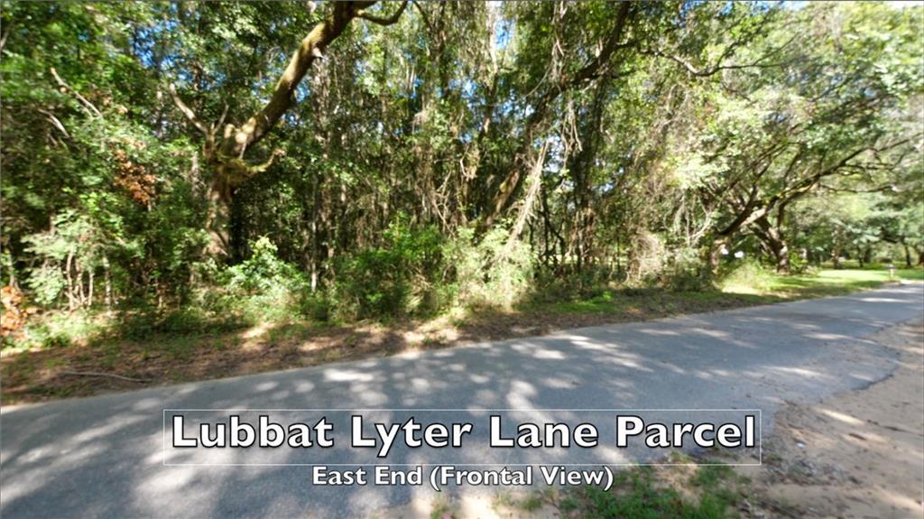 0 Lyter Lane - Photo 1