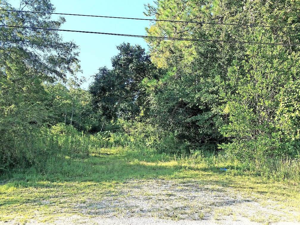 4671 Colgate Drive - Photo 1