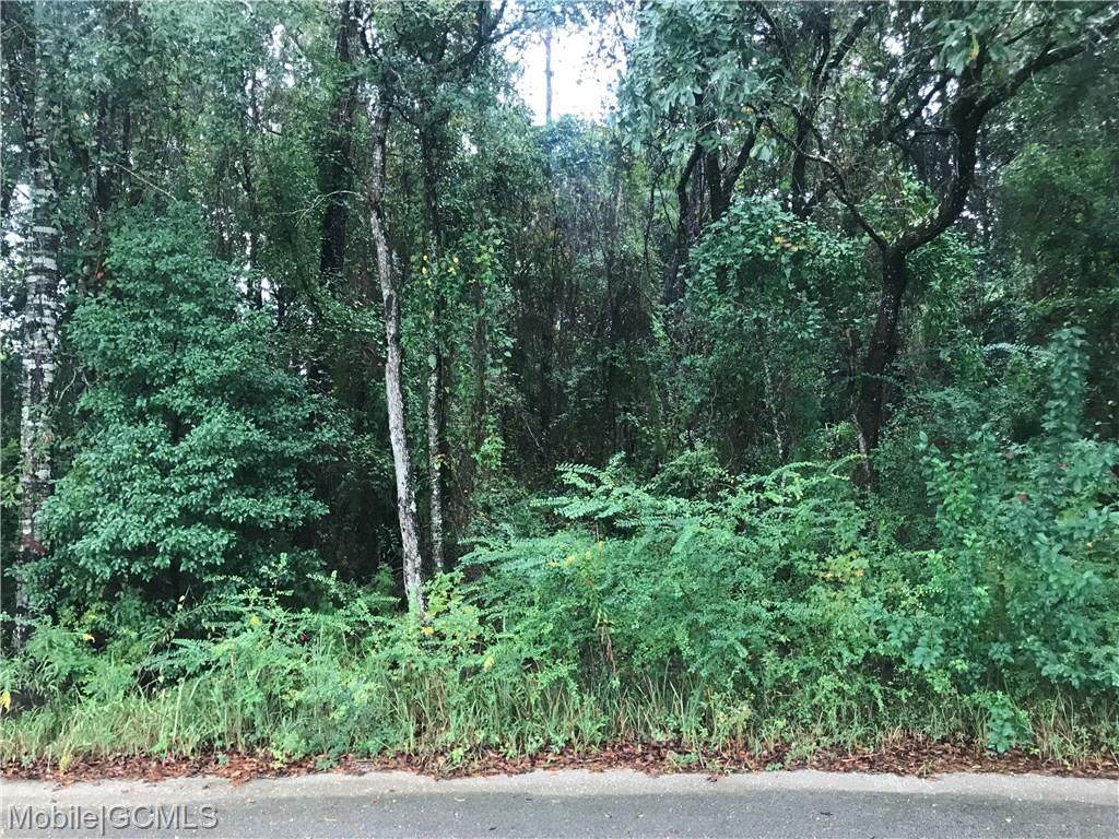 0 Schillinger Park Road - Photo 1