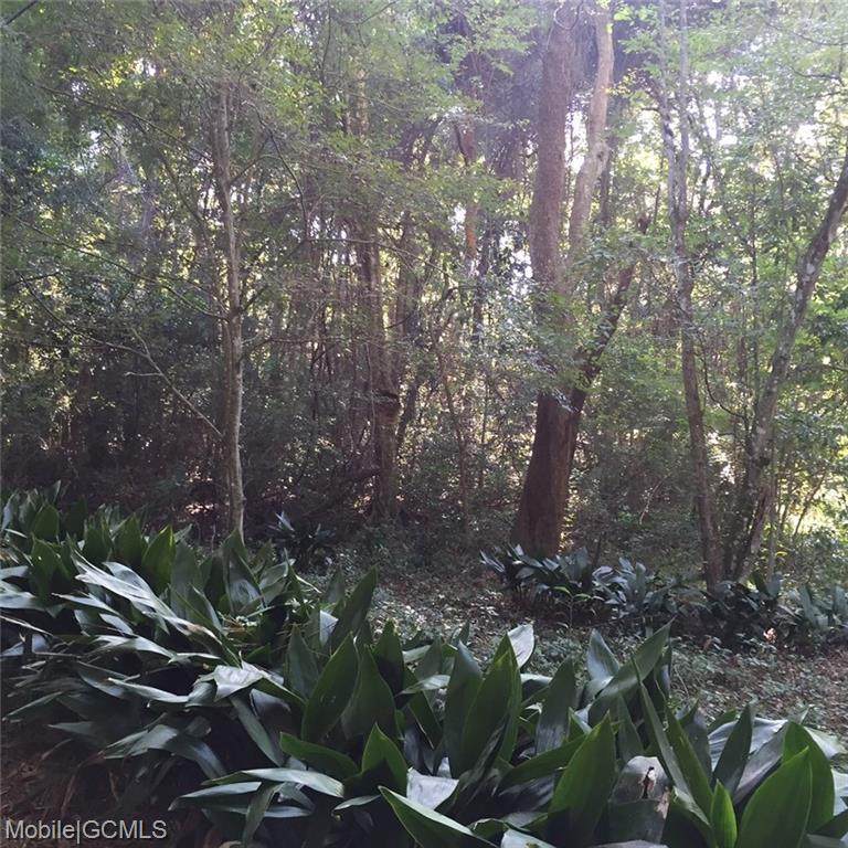 0 Bendabout Lane - Photo 1