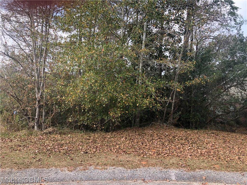 0 Creekwood Place Court - Photo 1