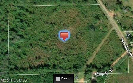 0 Alg Turnbull Road - Photo 1