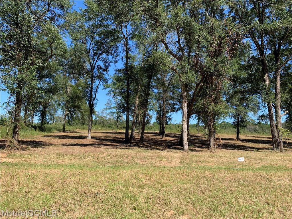 0 Grand Bay-Wilmer Road - Photo 1