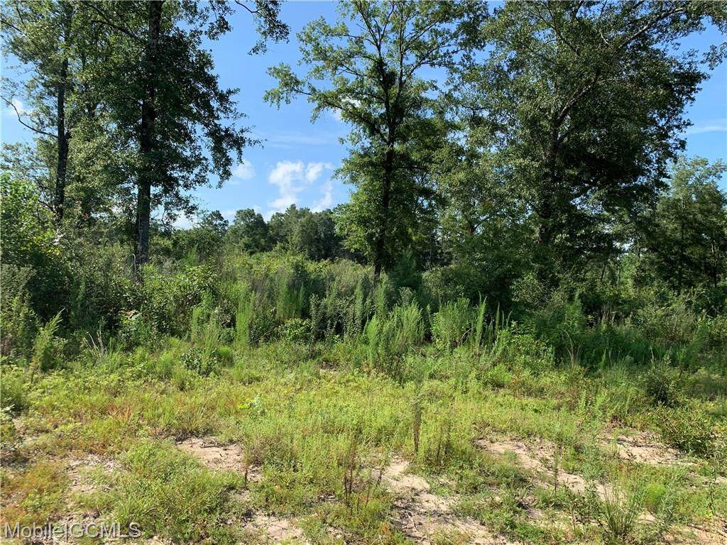 0 Deer Crest Drive - Photo 1