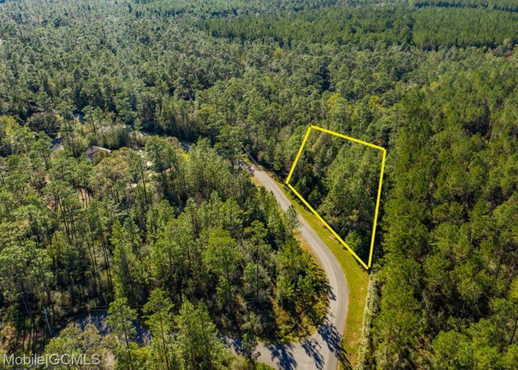 0 Steelwood Ridge Road - Photo 1