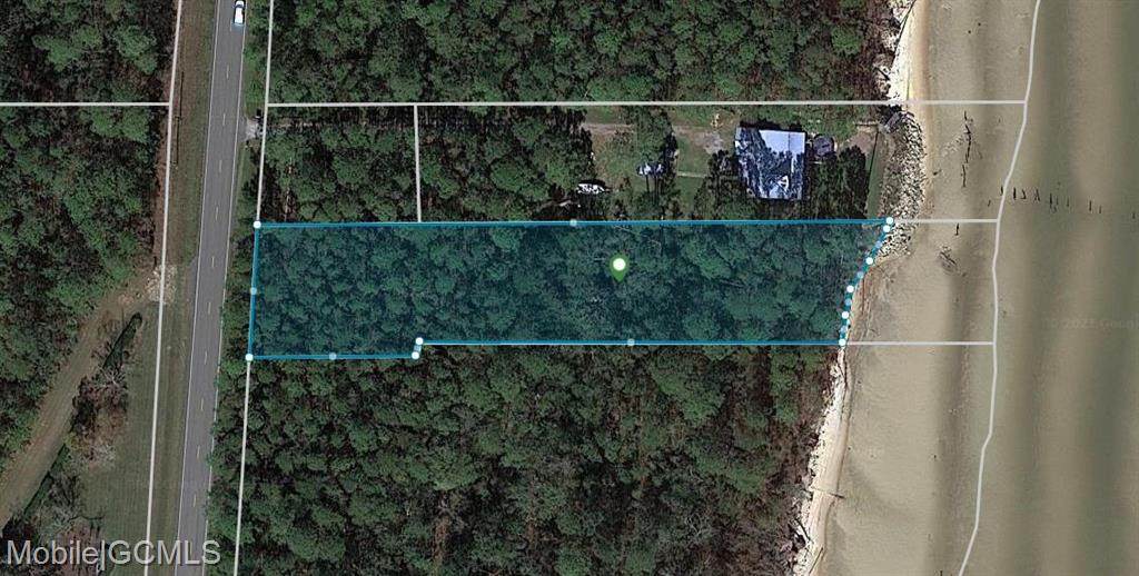 0 Dauphin Island Parkway - Photo 1