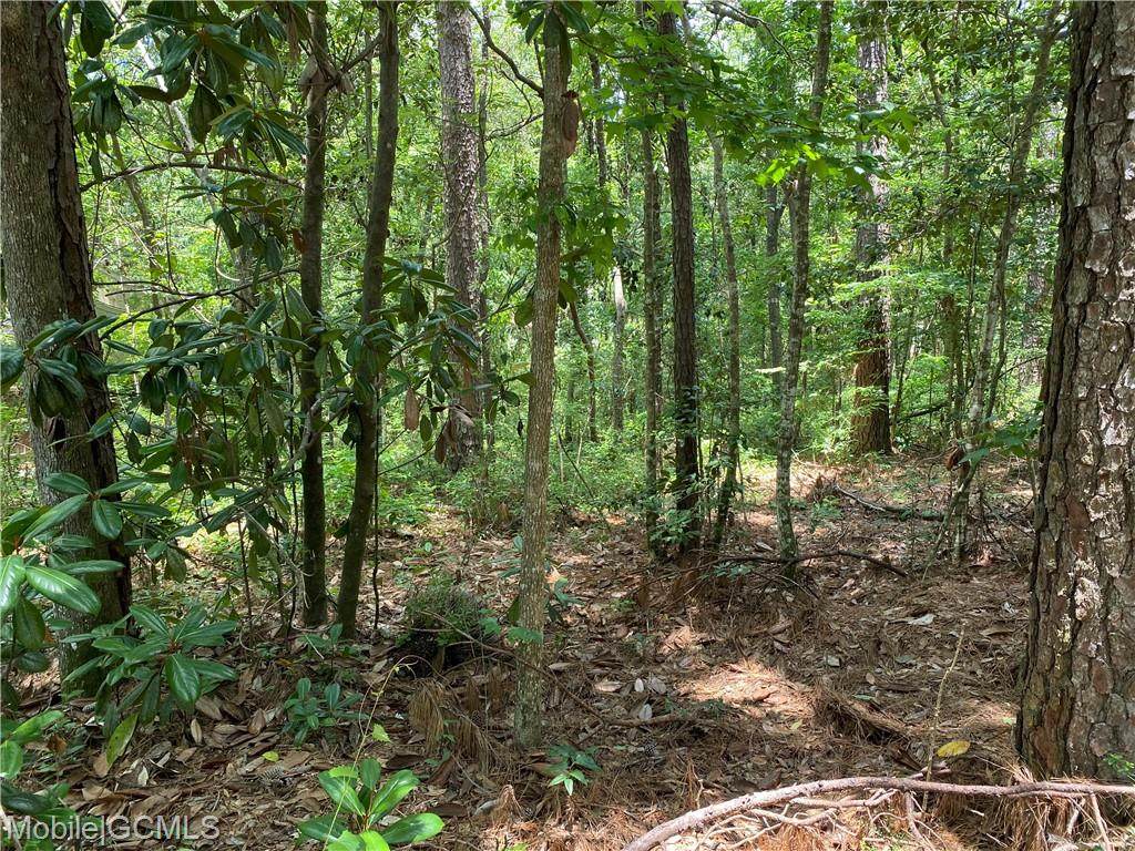 225 Montclair Loop - Photo 1