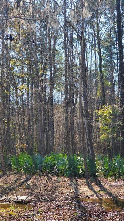7820 Bryants Landing Road - Photo 1