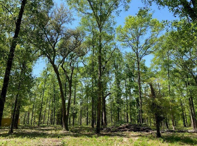 0 Deer Crest Drive - Photo 1