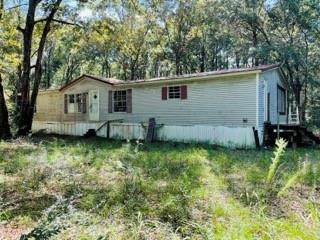 10861 John Shinn Road - Photo 1
