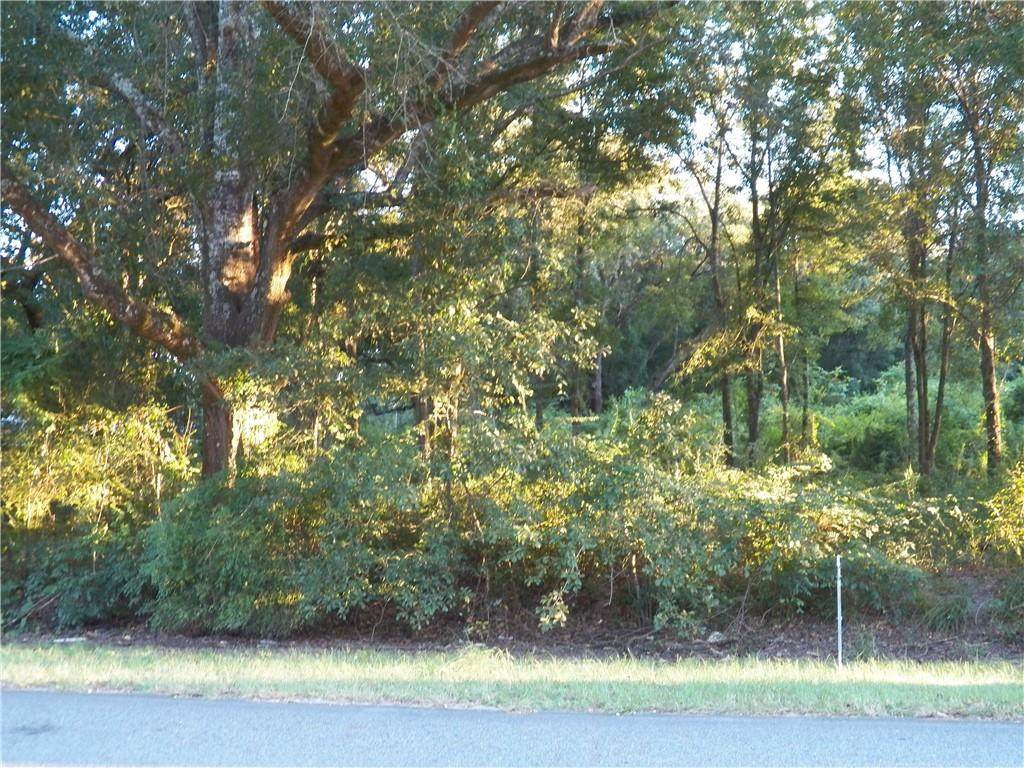 0 Creola Axis Loop Road - Photo 1