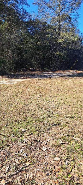 0 Silver Pine Road - Photo 1