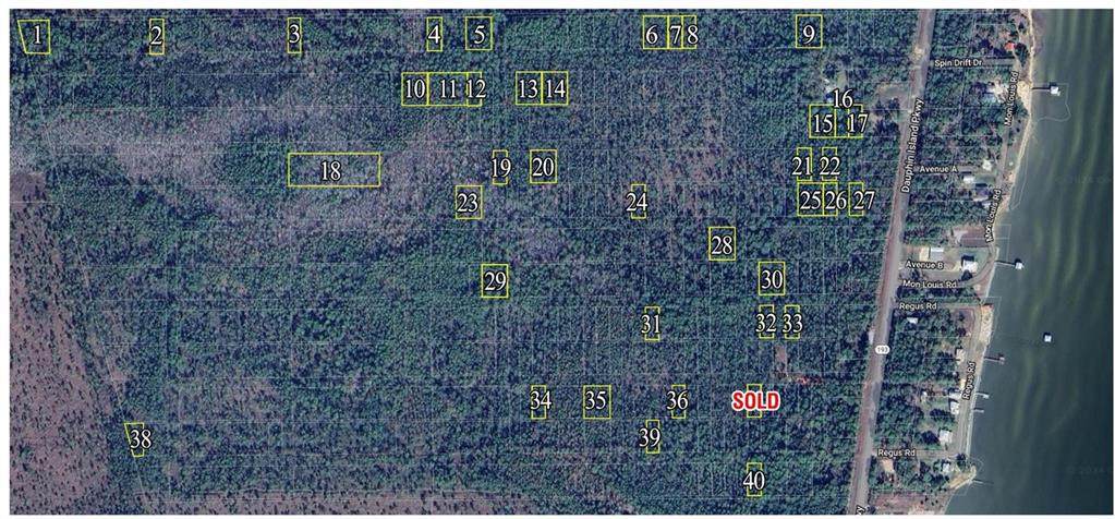 0 Dauphin Island Parkway - Photo 1