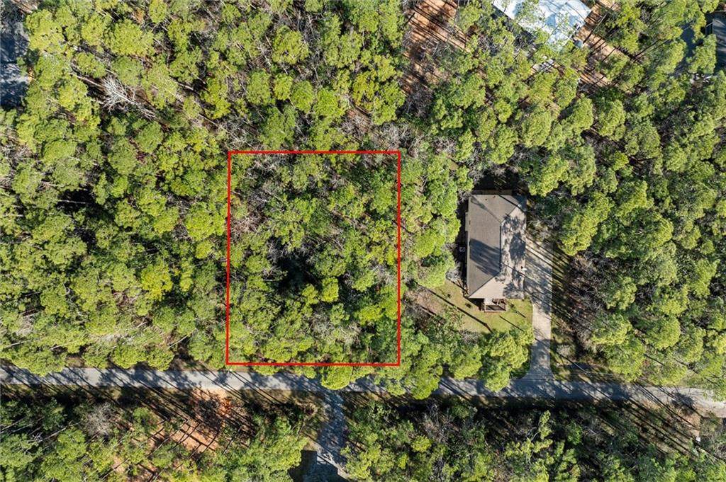 1112 Nanafalya Place - Photo 1