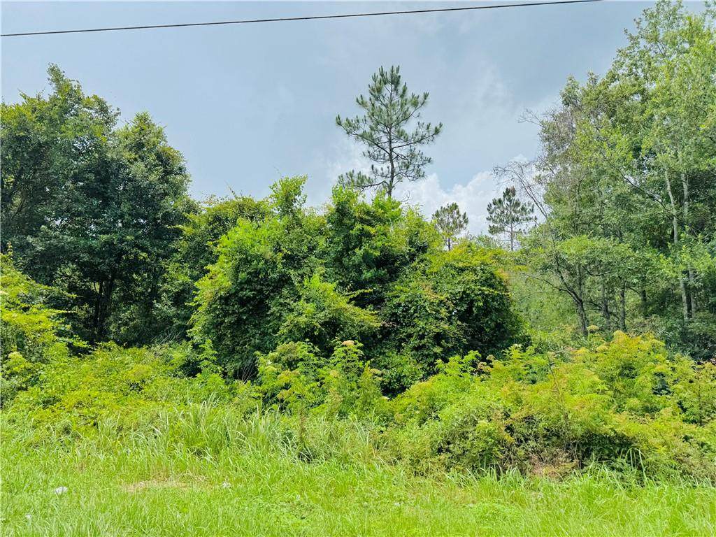 0 Leroy Stevens Road - Photo 1