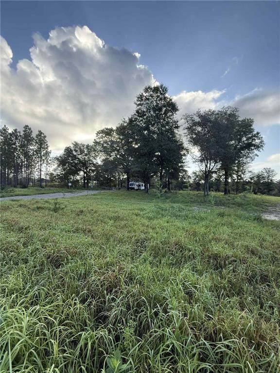 11779 Hampton Road - Photo 1
