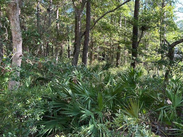 712 Indian Place - Photo 1