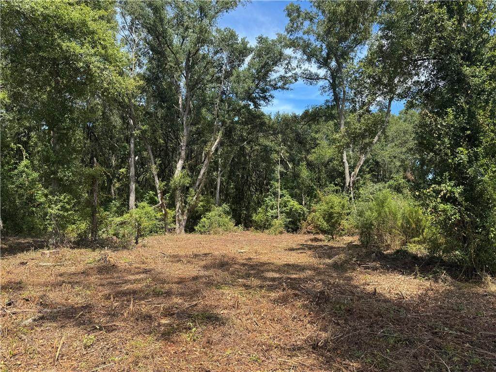 0 Lundy Road - Photo 1