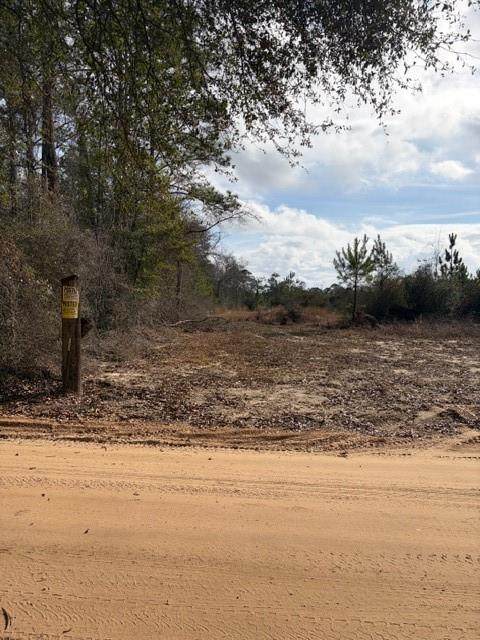 0 Harmon Williams Road - Photo 1
