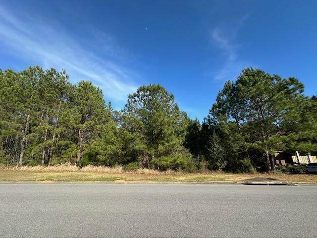 0 Boardwalk Drive - Photo 1