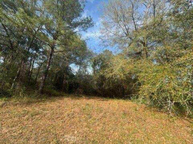 0 Delta Woods Drive - Photo 1