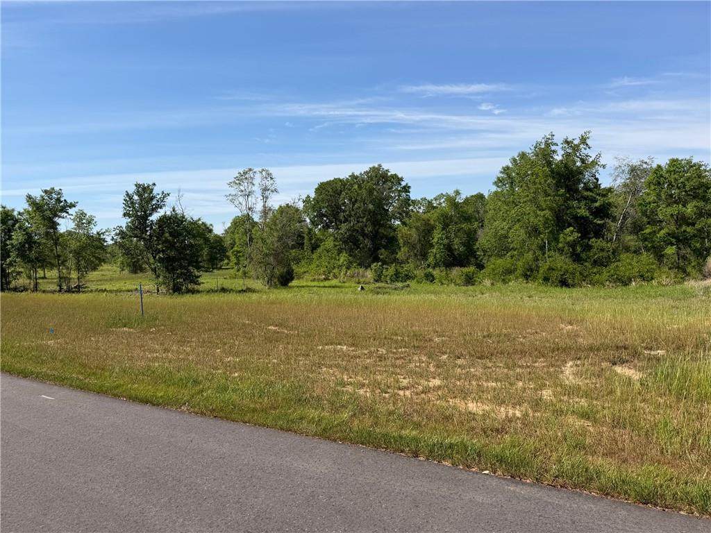 0 Sandy Creek Lane - Photo 1