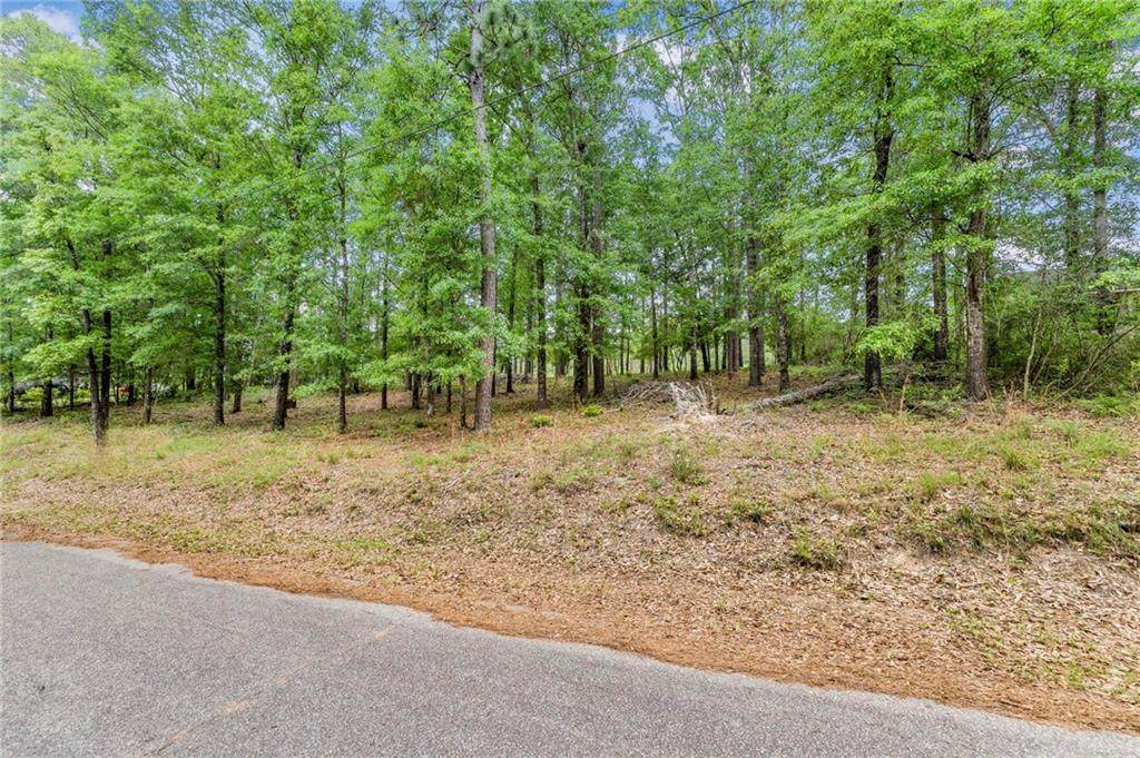 10835 Mitt Drive - Photo 1