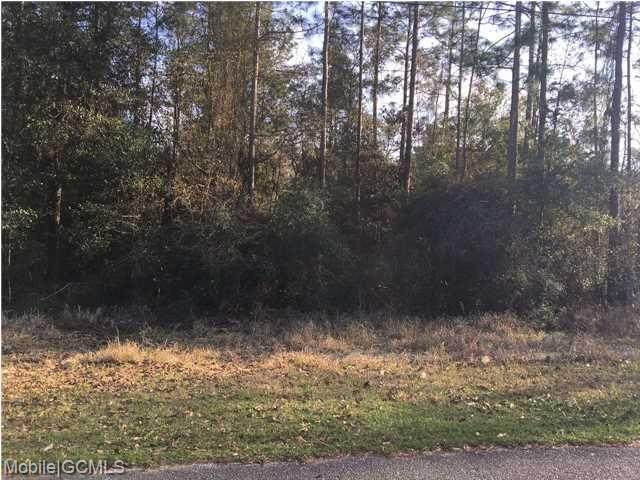 0 Timber Creek Drive - Photo 1