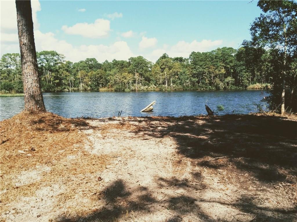 0 Clarke Ridge Road - Photo 1