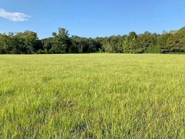 19160 County Road 68 - Photo 1