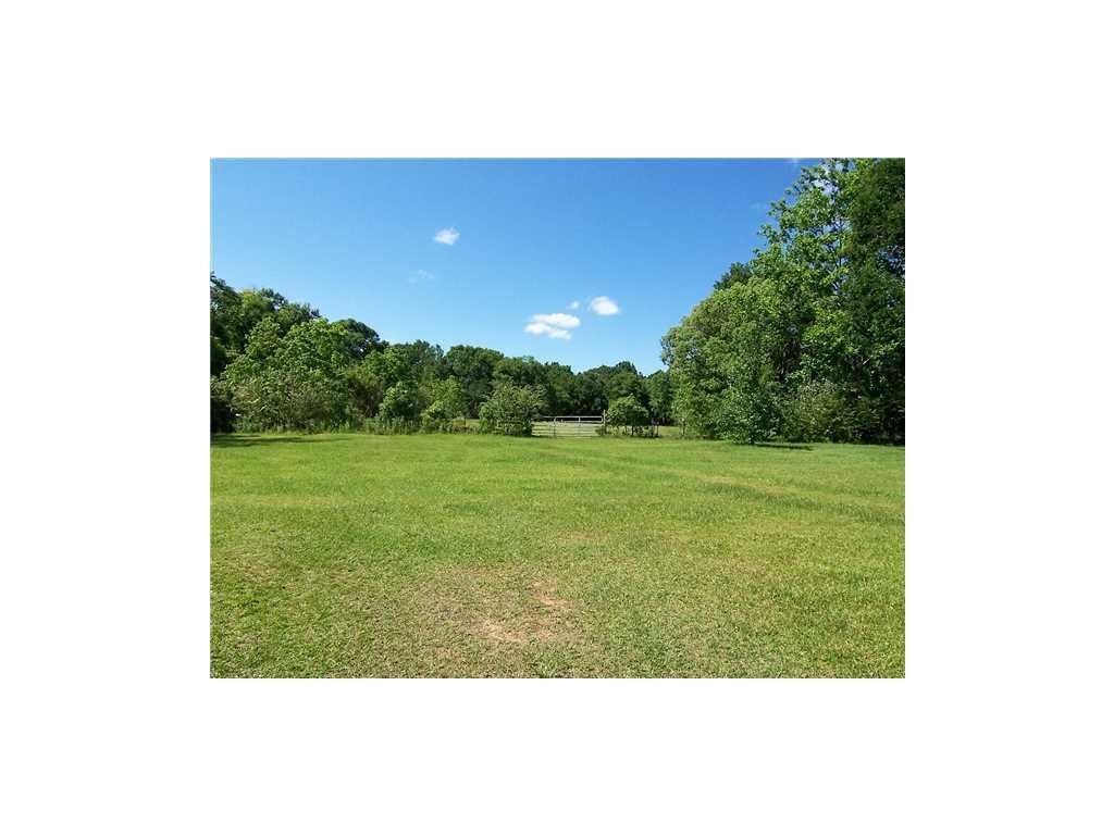 7330 Old Shell Road - Photo 1