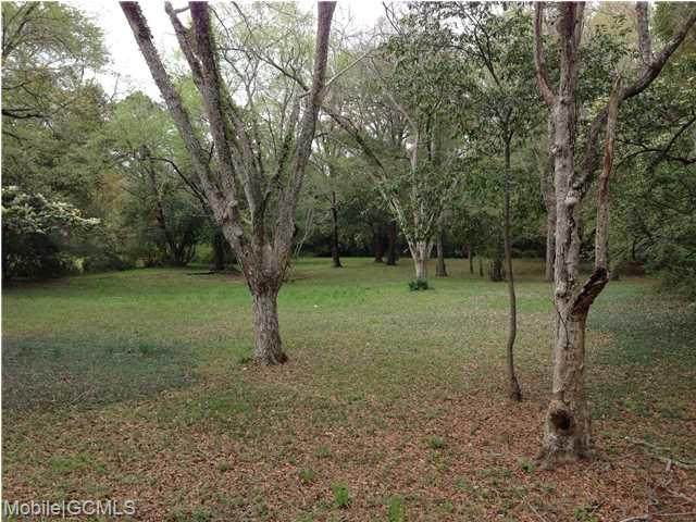 5308 Old Shell Road - Photo 1