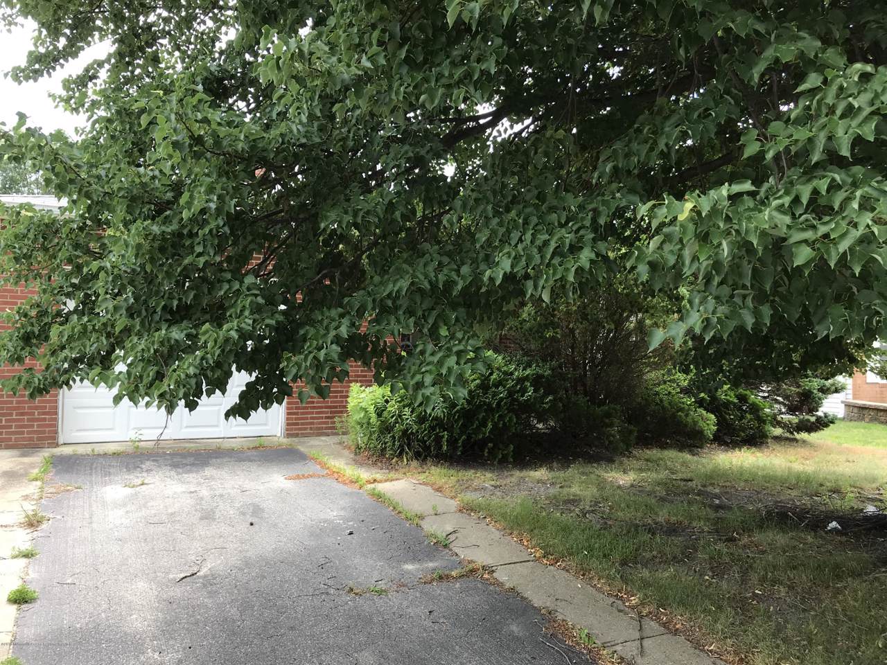 923 Jamaica Boulevard - Photo 1