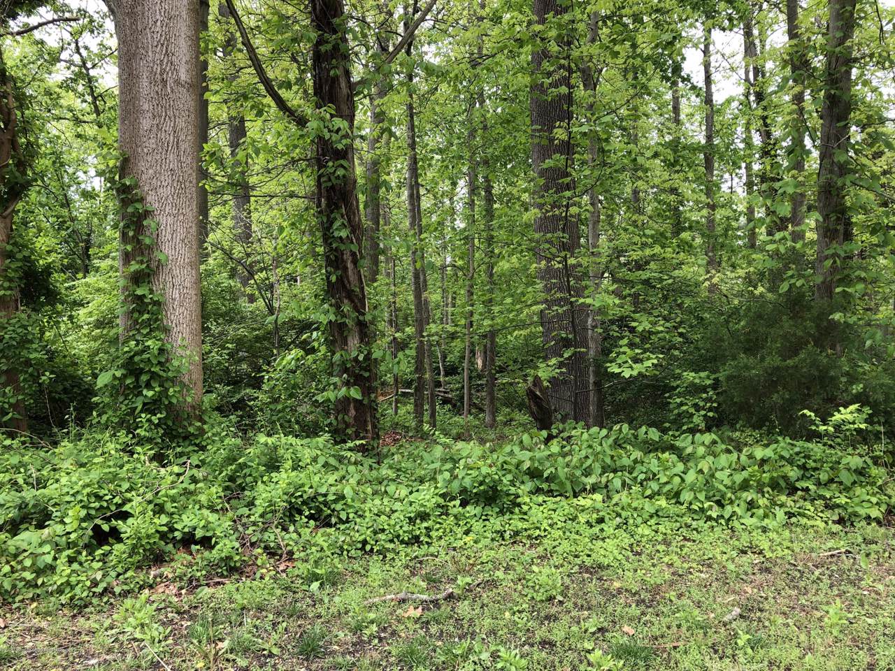 6 Central Avenue - Photo 1