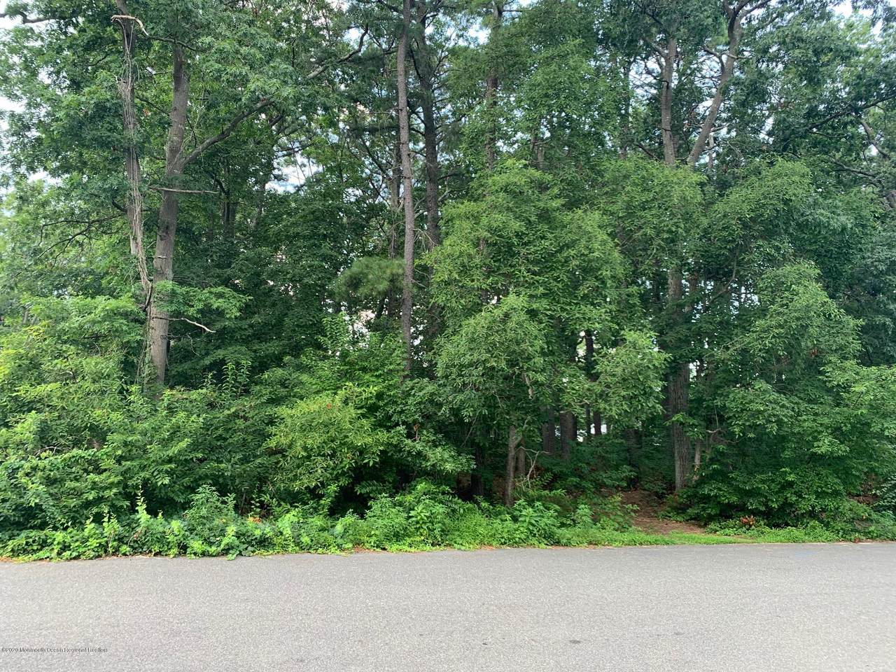 384 Mckinley Avenue - Photo 1