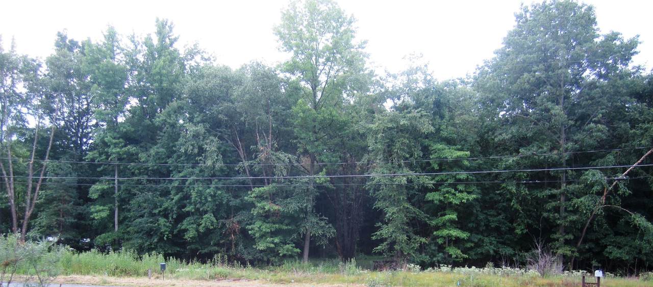 47 Brown Road - Photo 1