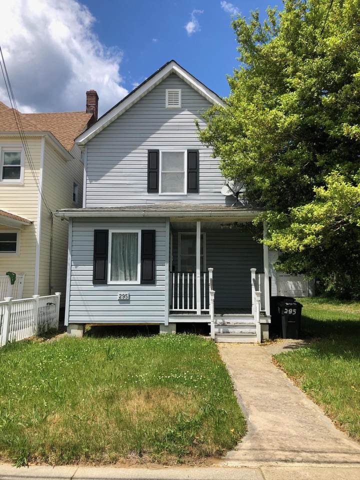 295 Chelsea Avenue - Photo 1