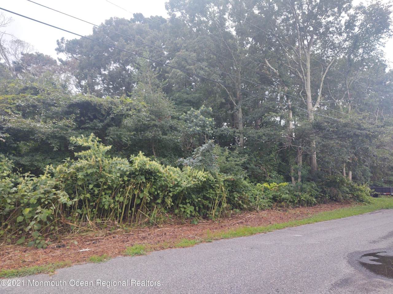 0 Birch Street - Photo 1