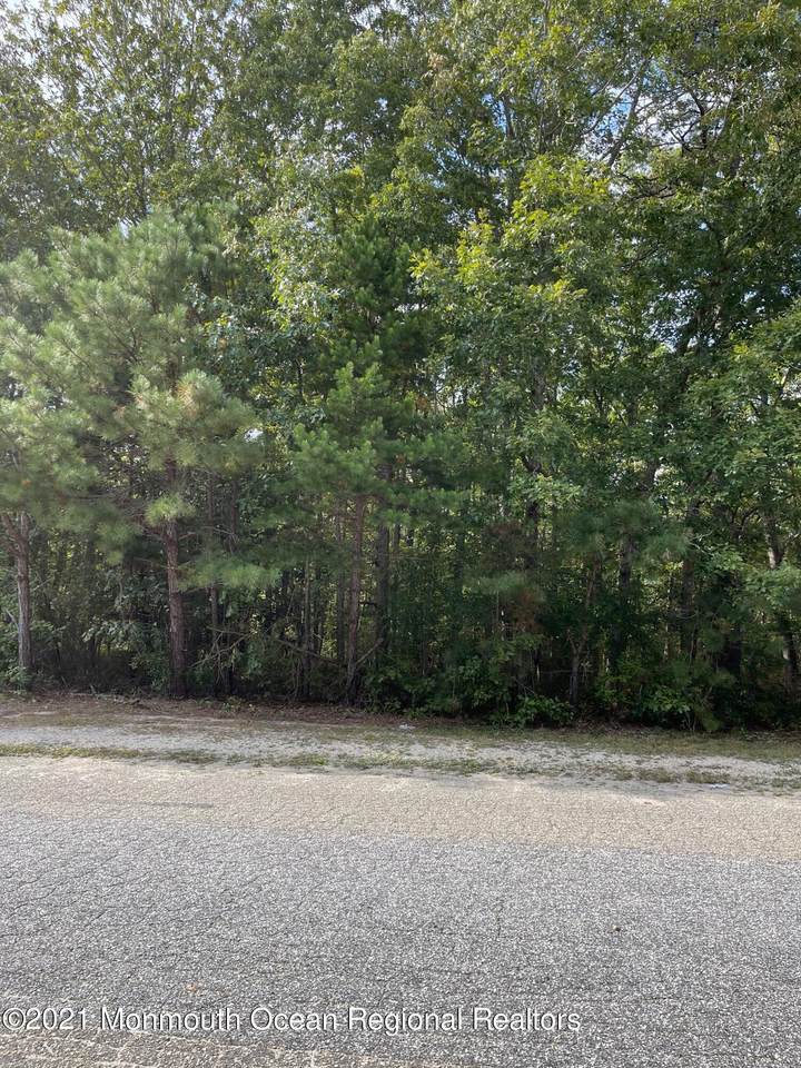 9 4 Mile Avenue - Photo 1