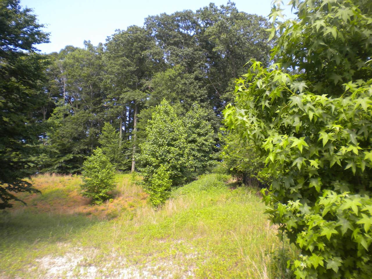214 Walnut Drive - Photo 1