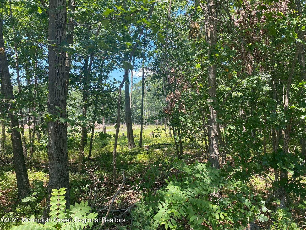 0 Toms River Road - Photo 1