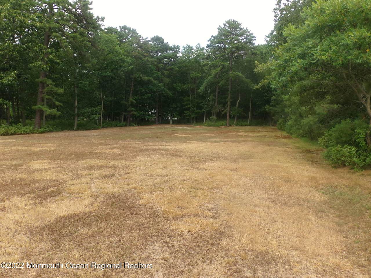 33 Cooks Bridge Road - Photo 1