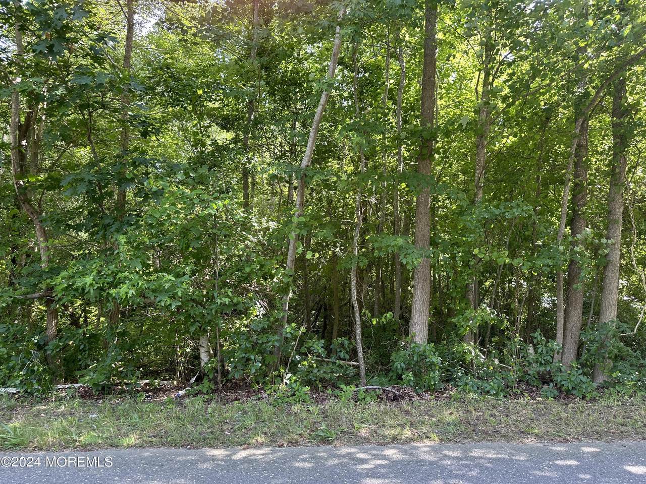 2183 Route 88 - Photo 1